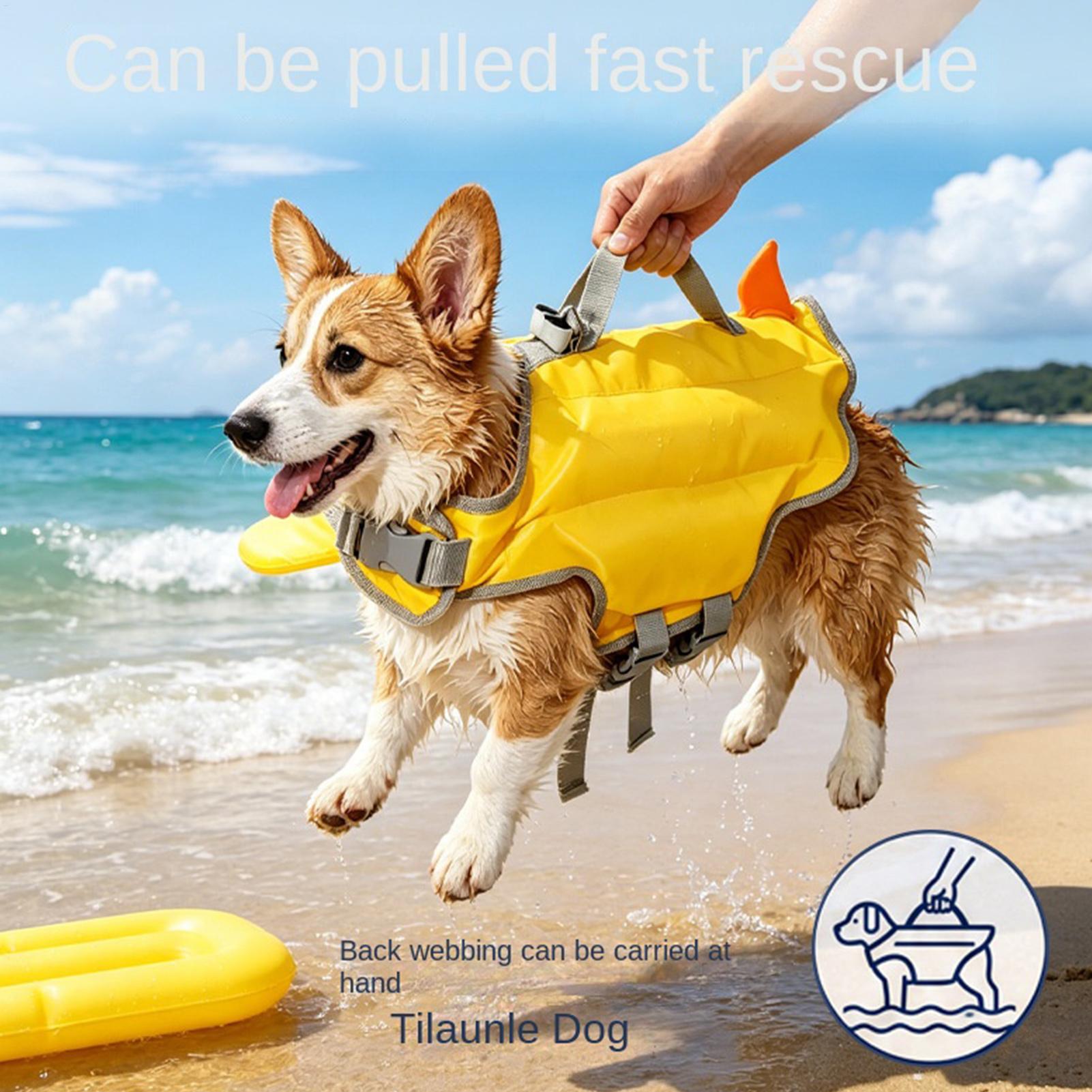 Hundeschwimmweste mit Hoher Au – Life Jacket Buoyancy Bewertung und Preis