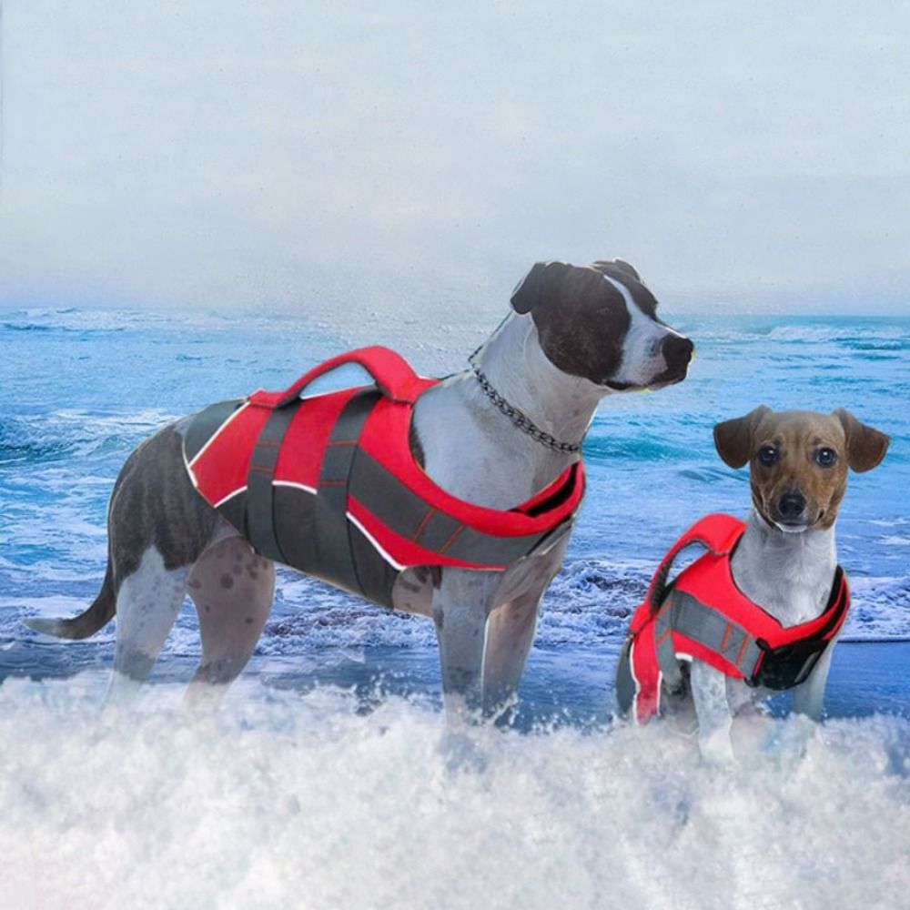 Reflektierende Hundeschwimmwes – Life Jacket Buoyancy Bewertung und Preis