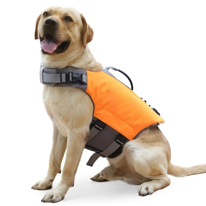 Hundeschwimmweste, schwimmende – Life Jacket Buoyancy Bewertung und Preis